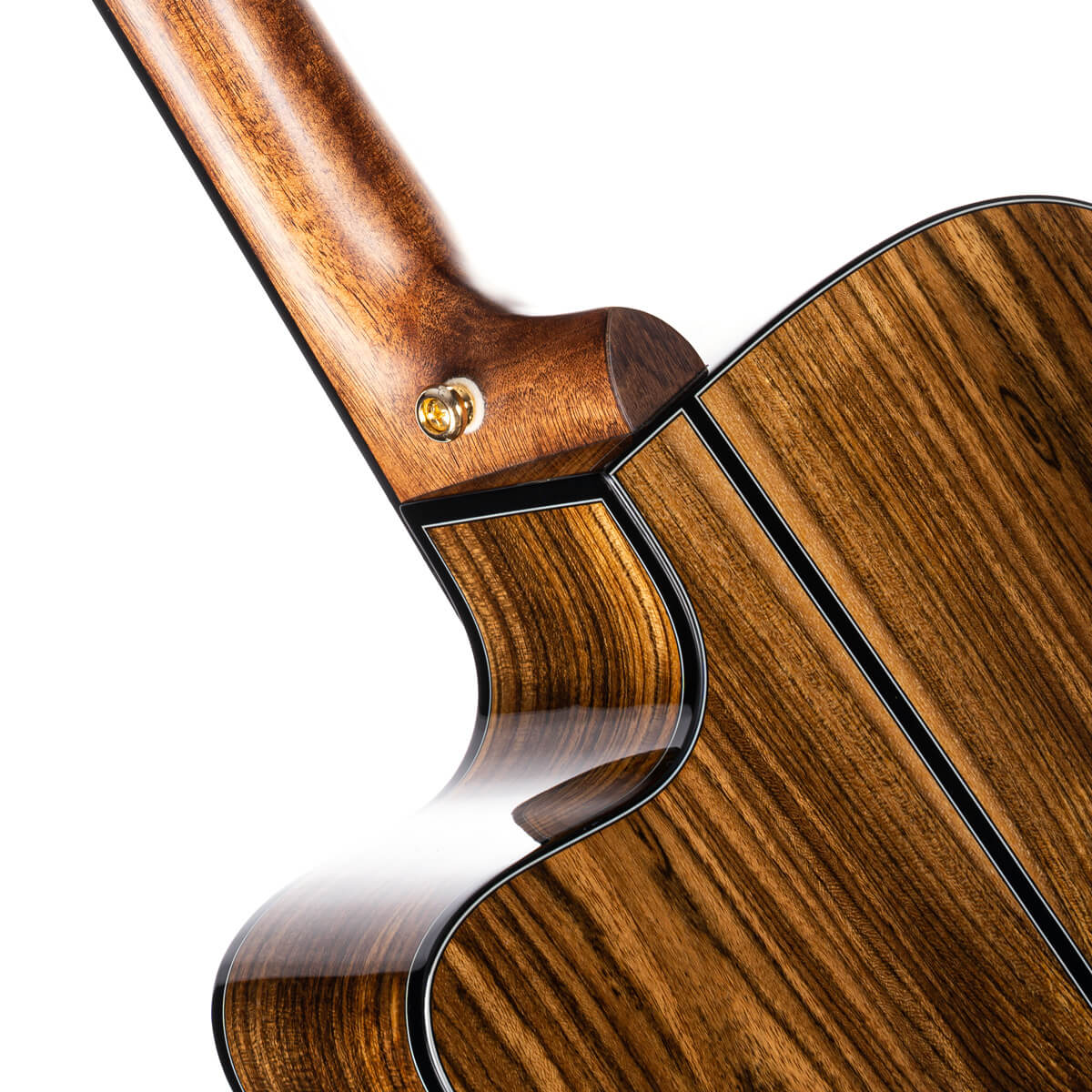 Đàn Guitar Acoustic Cort Gold-OC6 Bocote