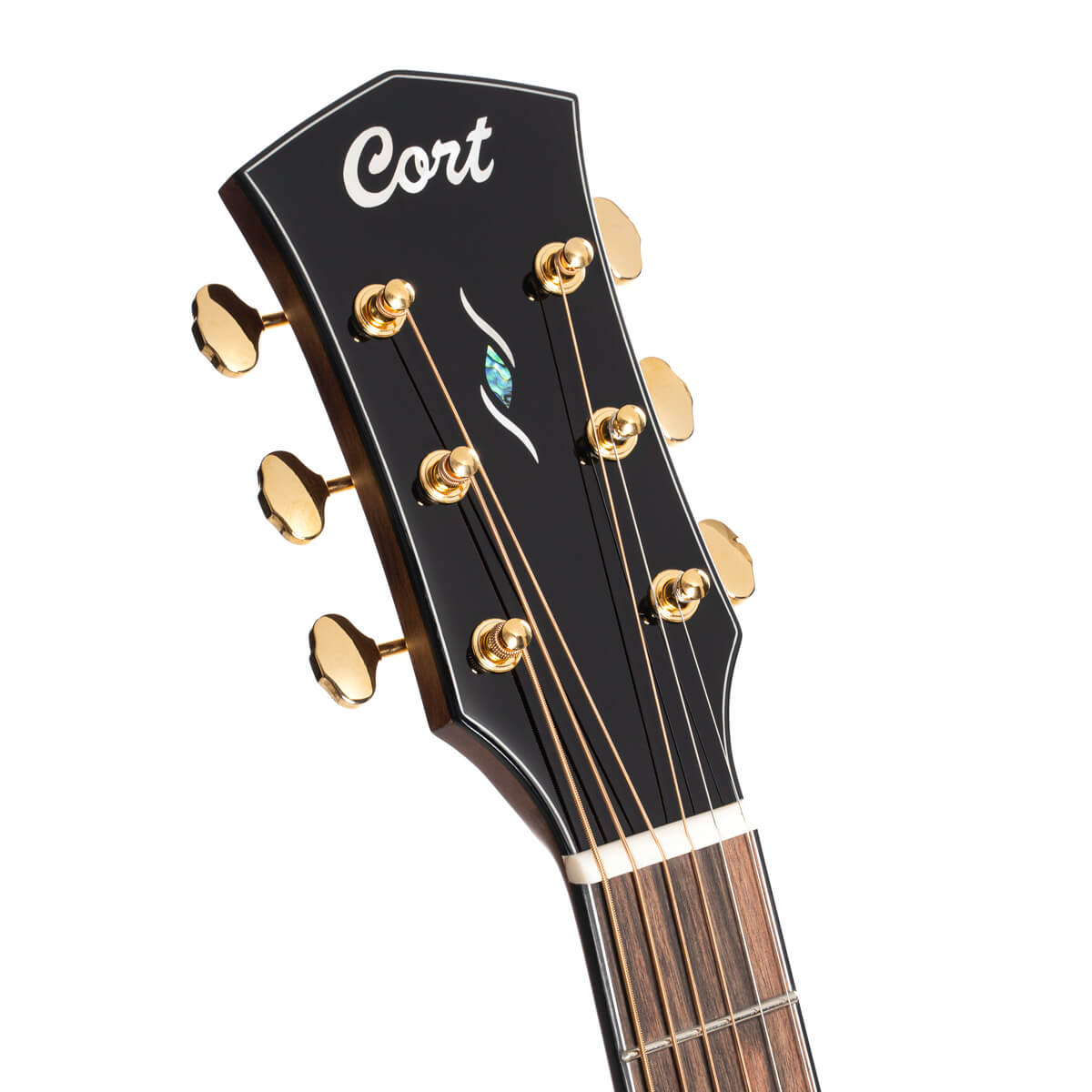 Đàn Guitar Acoustic Cort Gold-OC6 Bocote