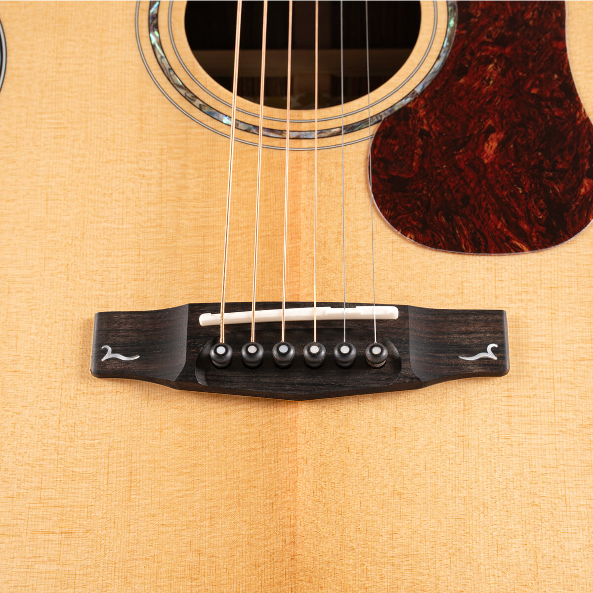 Đàn Guitar Acoustic Cort Gold-OC6 Bocote