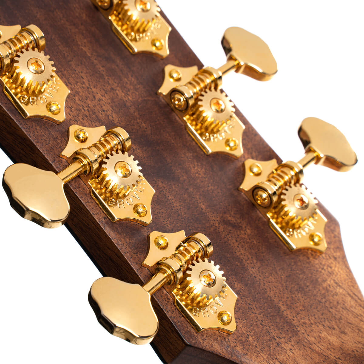 Đàn Guitar Acoustic Cort Gold-OC6 Bocote