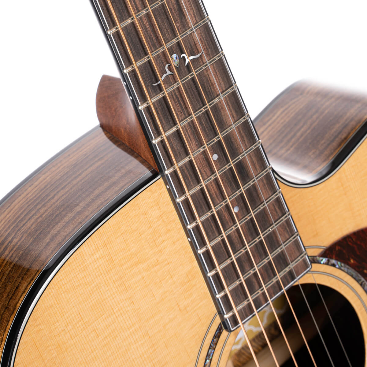 Đàn Guitar Acoustic Cort Gold-OC6 Bocote