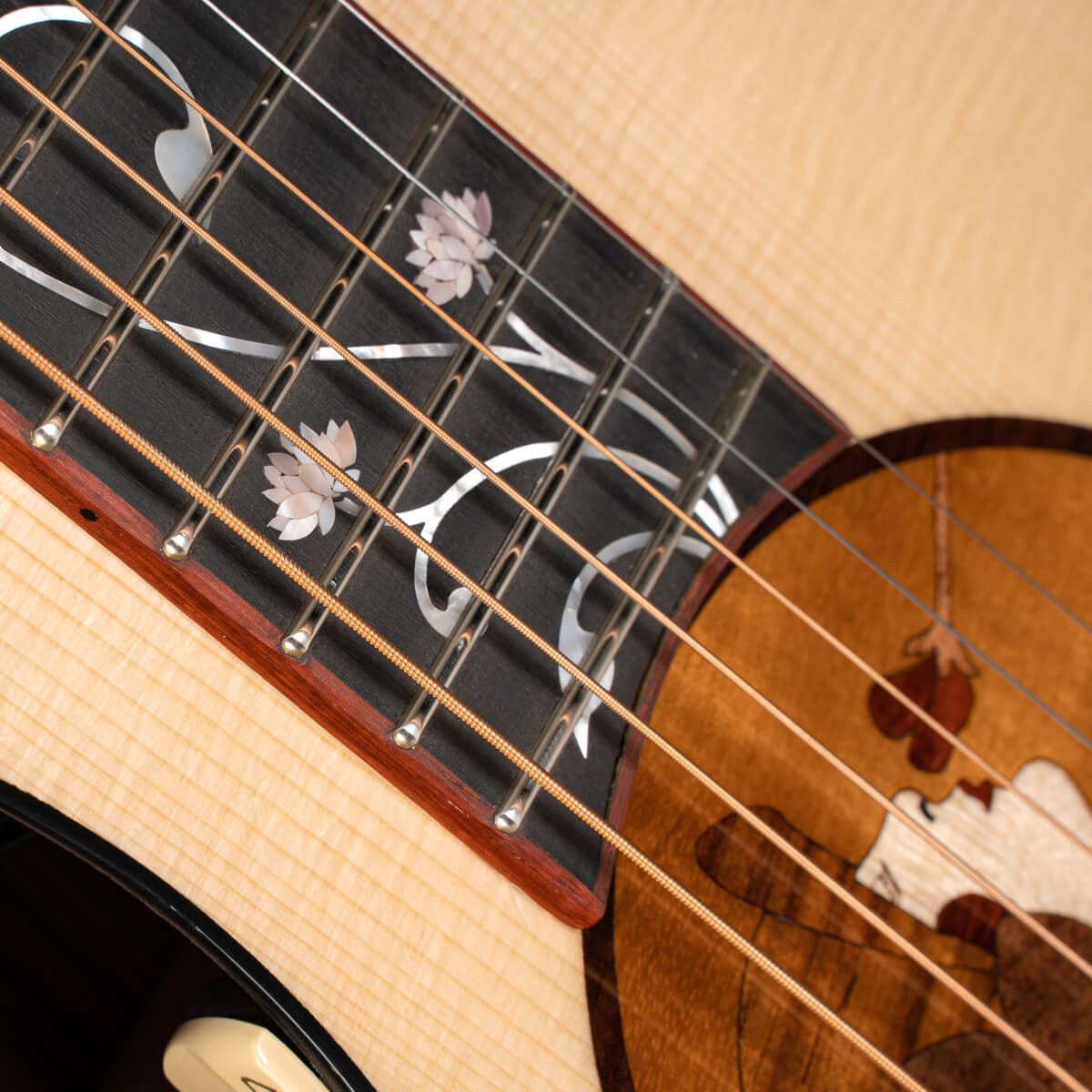 Đàn Guitar Acoustic Cort Roselyn Redux