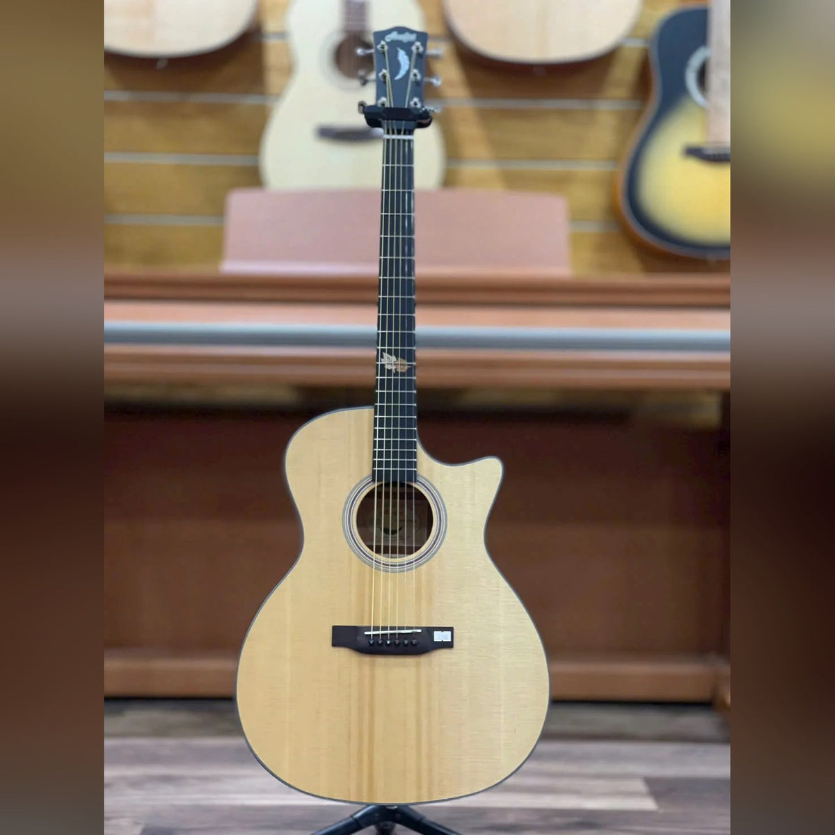 Đàn guitar acoustic Asolid 54GA Solid Top màu Natural – mặt trước toàn thân