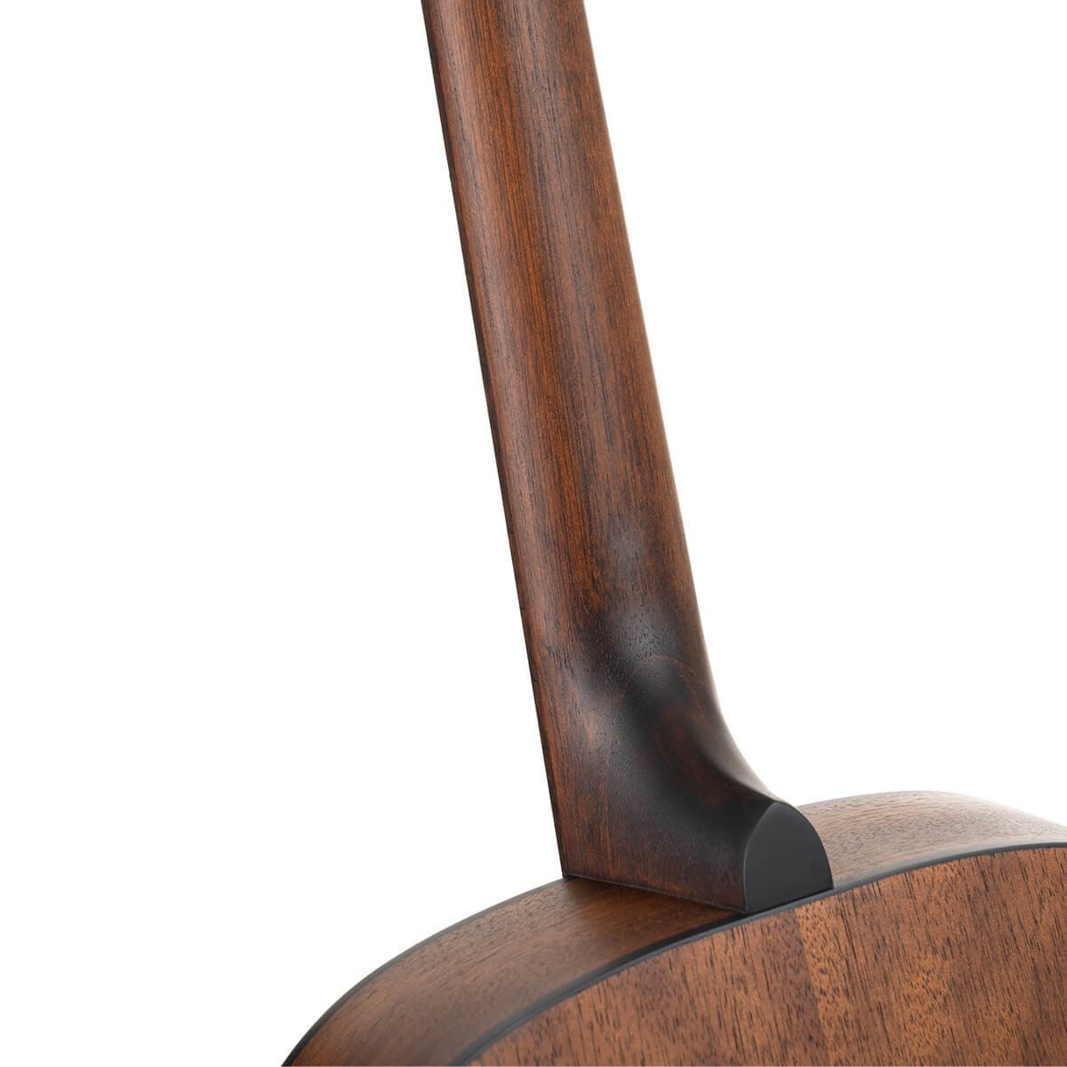 Đàn guitar acoustic Cort Arium màu Open Pore – cận gót cần nối thân đàn