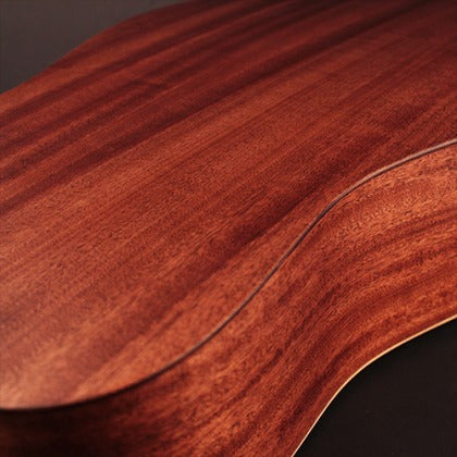 Đàn Guitar Acoustic Cort Earth Bevel Cut
