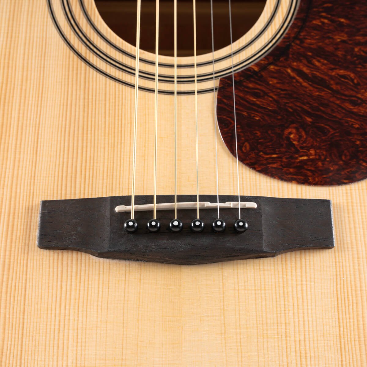 Đàn guitar acoustic Cort Earth Pack màu Open Pore – cận lỗ thoát âm và ngựa đàn