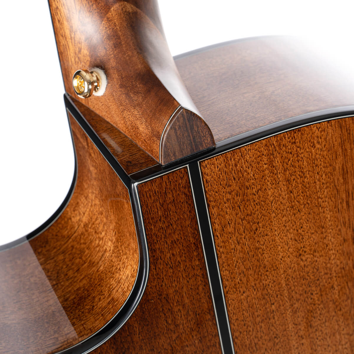 Đàn Guitar Acoustic Cort Gold-A6