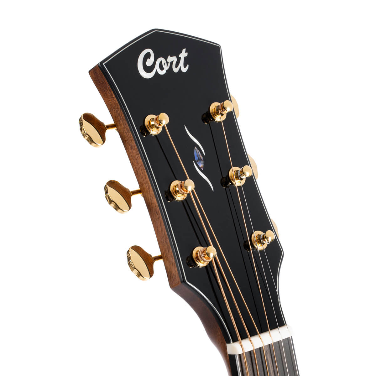 Đàn Guitar Acoustic Cort Gold-A6