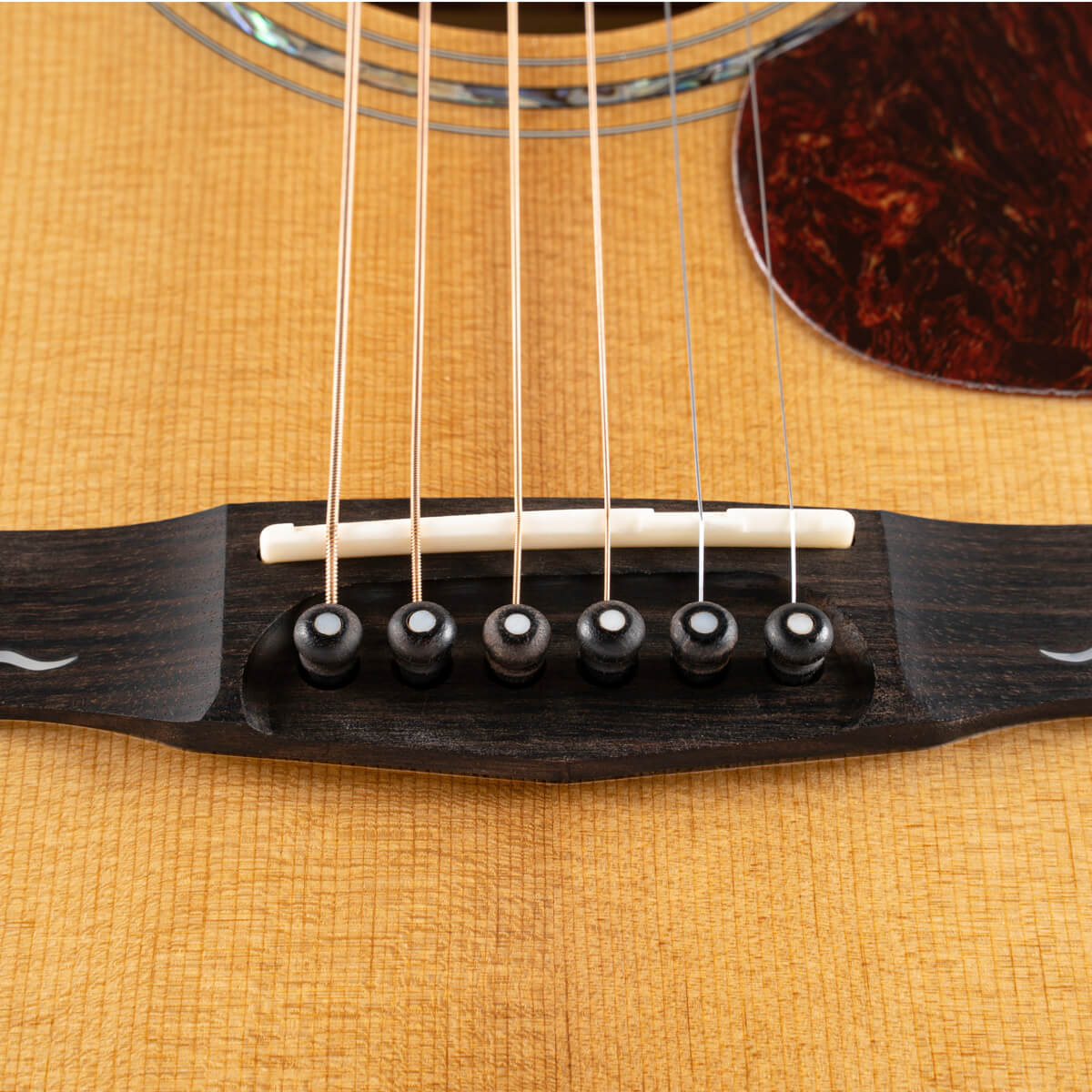 Đàn Guitar Acoustic Cort Gold-A6