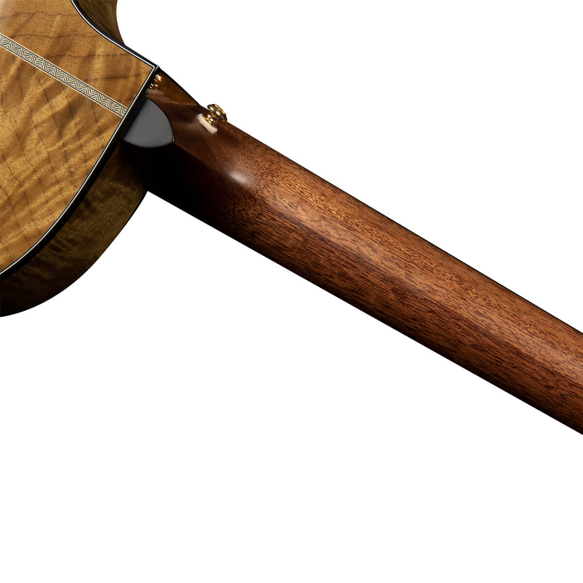 Đàn Guitar Acoustic Cort Gold-Edge