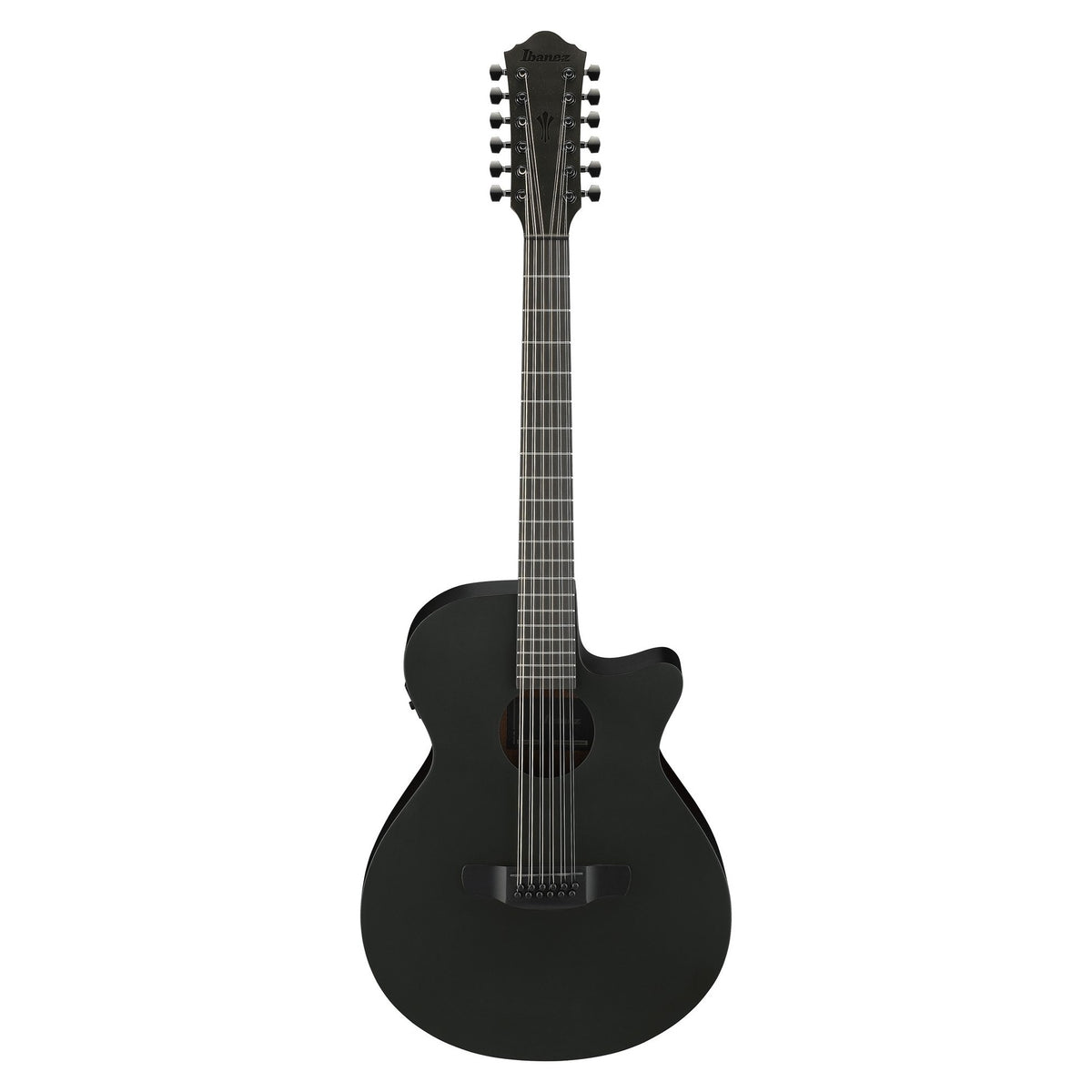 Đàn guitar acoustic điện 12 dây Ibanez AEG1221 màu Black Out – mặt trước toàn thân