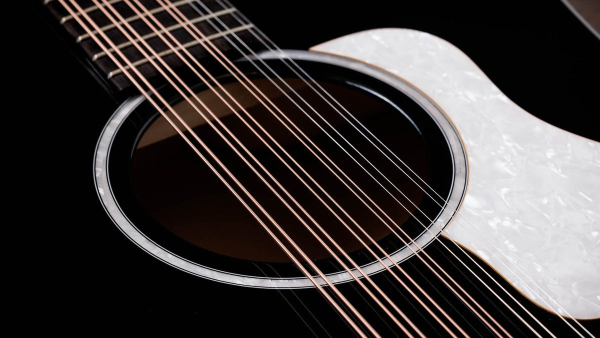 Đàn guitar acoustic điện 12 dây Taylor 250ce Plus BLK Doce Doble màu Black – cận hoa văn viền lỗ thoát âm (rosette)