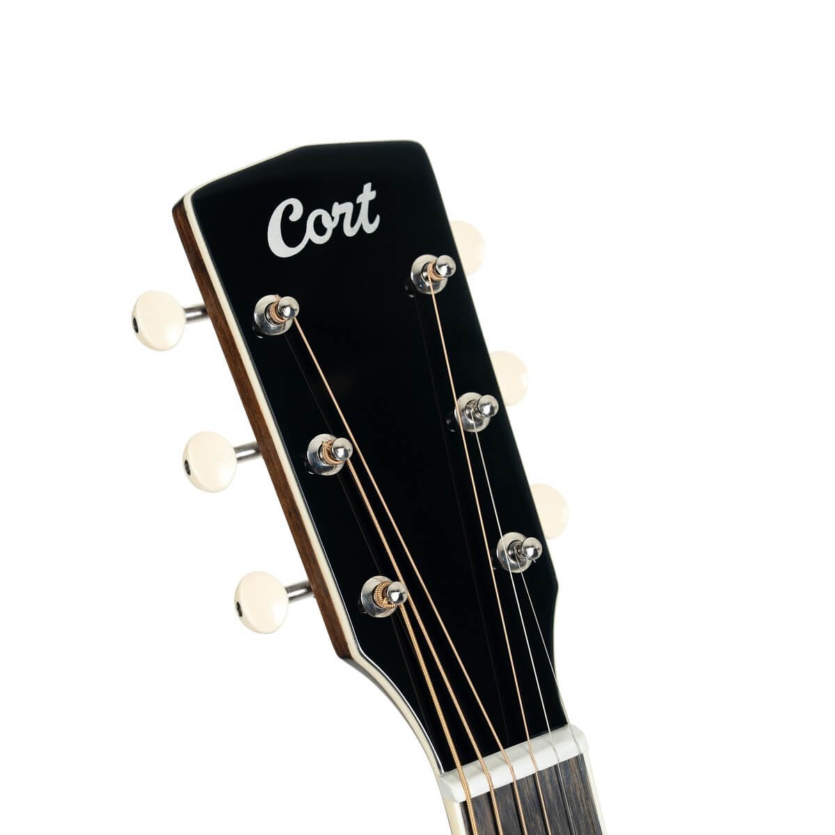 Đàn guitar acoustic điện Cort Exotic-SFX Myrtle màu Sunburst – cận đầu đàn và logo Cort