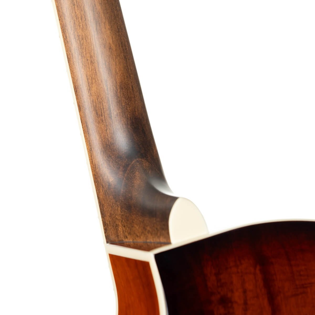 Đàn guitar acoustic điện Cort Exotic-SFX Myrtle màu Sunburst – cận gót cần nối thân đàn