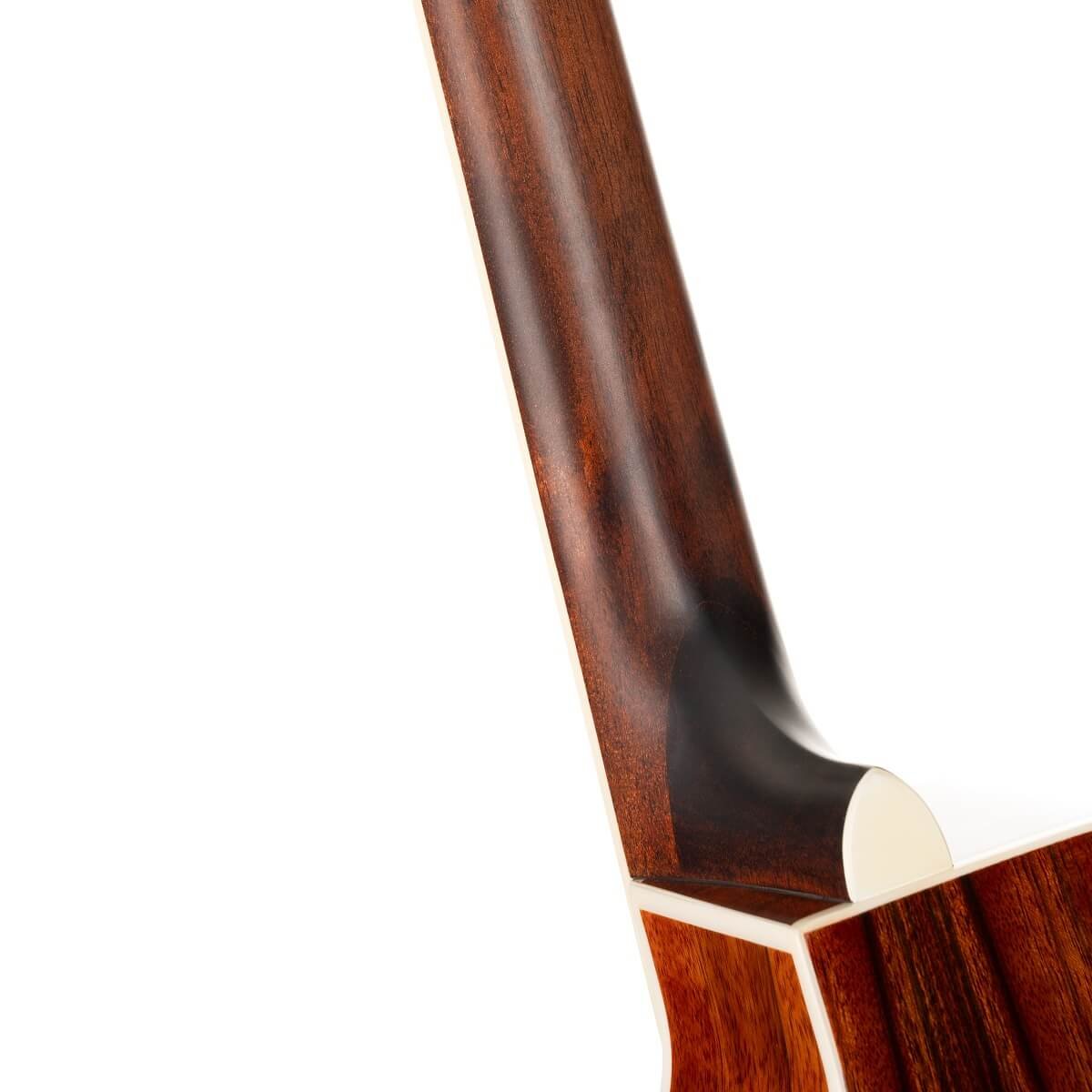 Đàn guitar acoustic điện Cort GA-DAO màu Natural Gloss – cận gót cần nối thân đàn