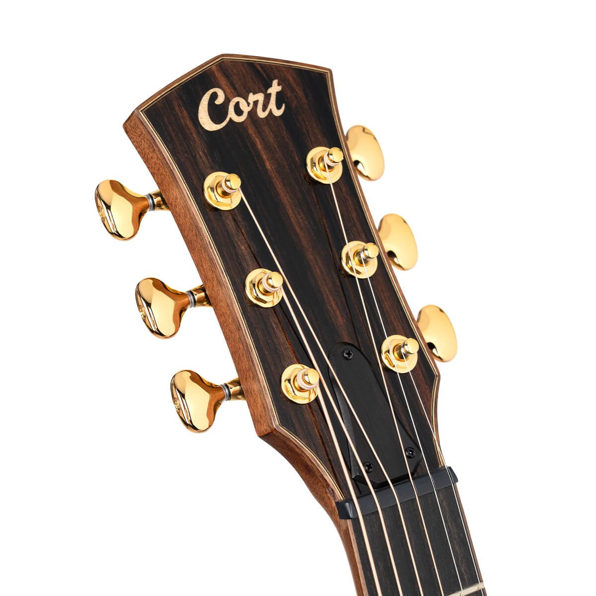 Đàn guitar acoustic điện Cort Modern Burgundy màu Trans Burgundy – cận đầu đàn và logo Cort