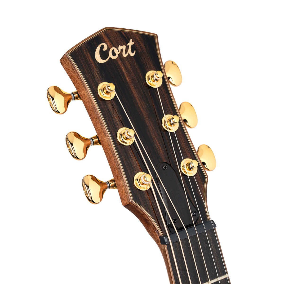 Đàn guitar acoustic điện Cort Modern Burst màu Tobacco Sunburst – cận đầu đàn và logo Cort