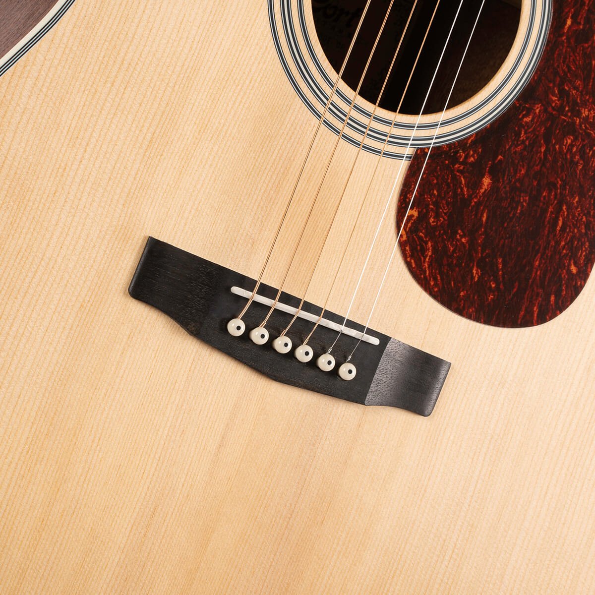 Đàn guitar acoustic điện Cort MR500E màu Open Pore – cận lỗ thoát âm và ngựa đàn