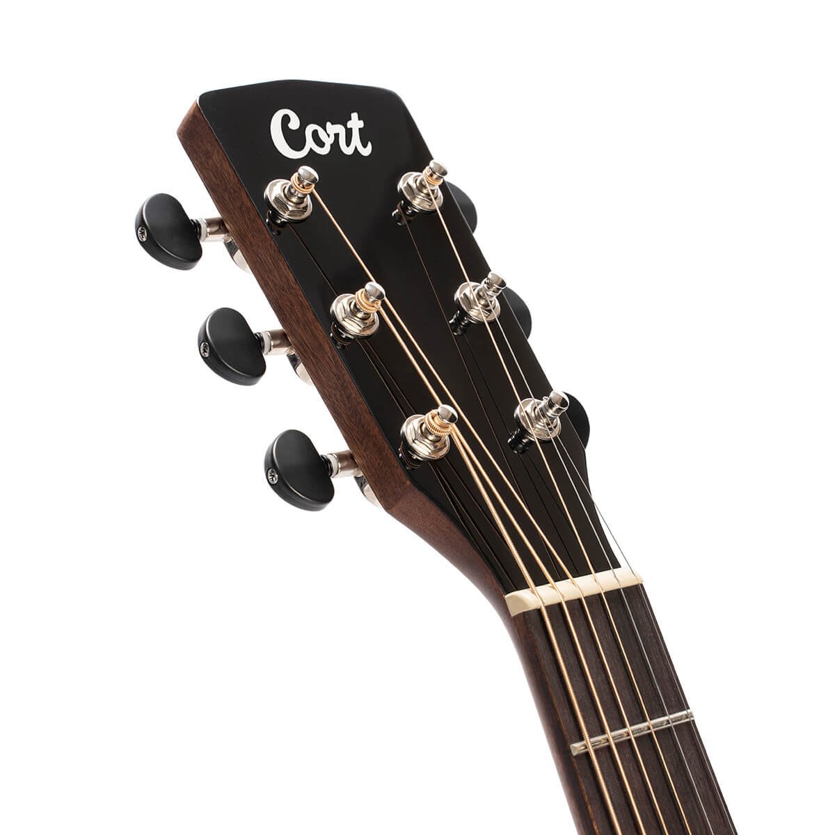 Đàn guitar acoustic điện Cort SFX Myrtlewood màu Natural Gloss – cận đầu đàn và logo Cort
