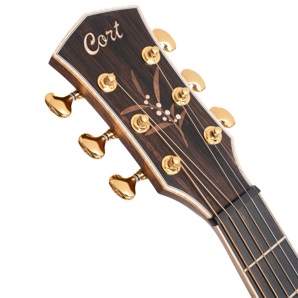 Đàn guitar acoustic điện Cort The Black Tree LE màu Light Burst Satin – cận đầu đàn và logo Cort