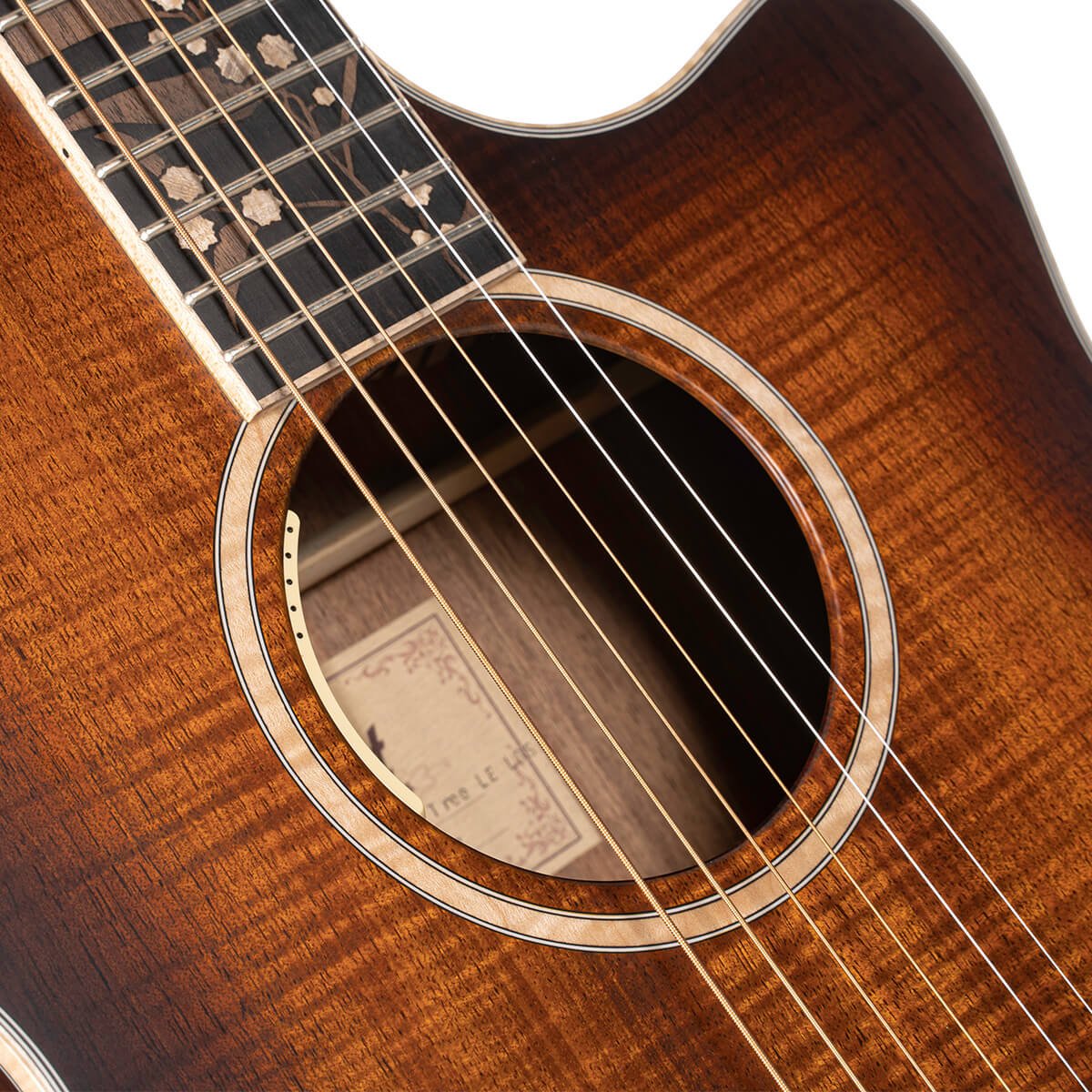 Đàn guitar acoustic điện Cort The Black Tree LE màu Light Burst Satin – cận hoa văn viền lỗ thoát âm (rosette)