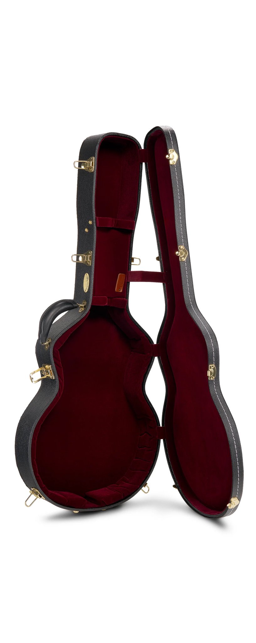 Đàn guitar acoustic điện Martin Custom Shop M Paisley Ember Burst – hộp đàn đi kèm (góc 2)