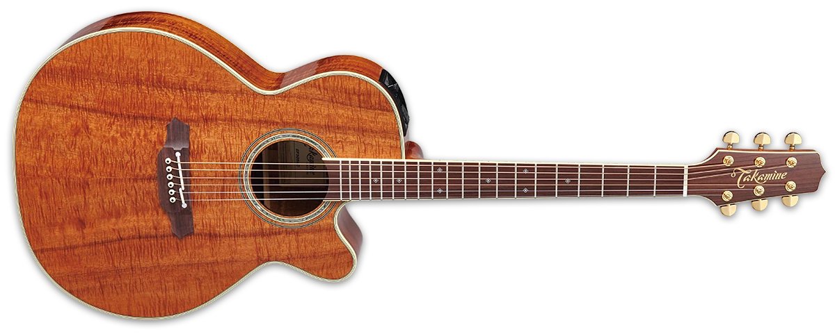 Đàn guitar acoustic điện Takamine EF508KC màu Natural sơn bóng – mặt trước toàn thân (góc 2)