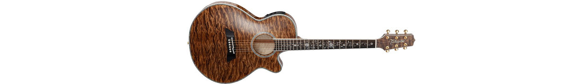 Đàn guitar acoustic điện Takamine TSP100 màu Vintage Tobacco – ảnh chính hãng chụp nằm ngang