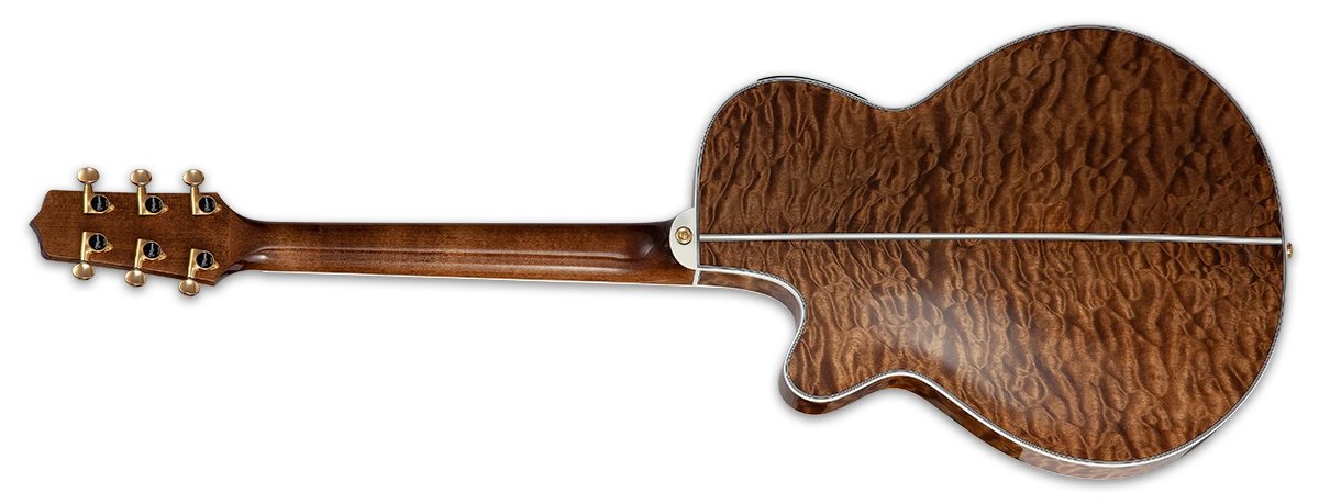 Đàn guitar acoustic điện Takamine TSP100 màu Vintage Tobacco – mặt lưng toàn thân (góc 2)