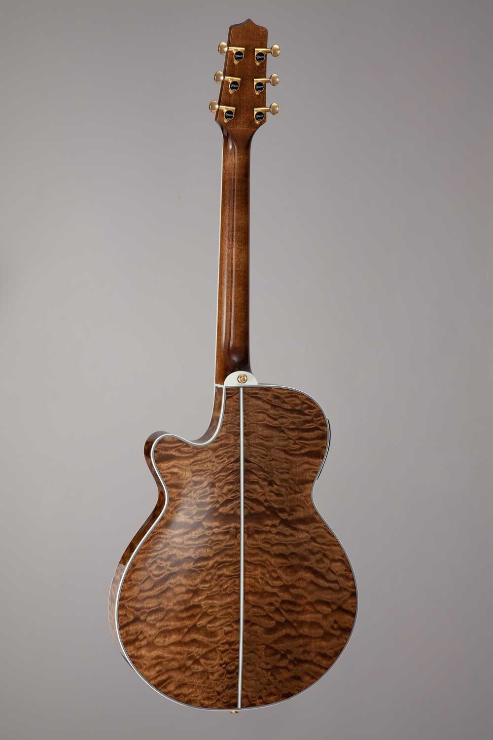 Đàn guitar acoustic điện Takamine TSP100 màu Vintage Tobacco – mặt lưng toàn thân