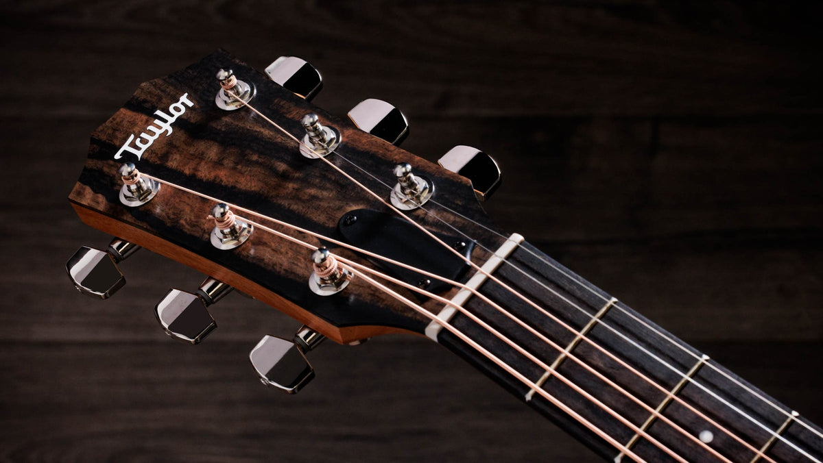 Đàn guitar acoustic điện Taylor 214ce African Ziricote Plus Special Edition màu Shaded Edgeburst – cận đầu đàn và logo Taylor