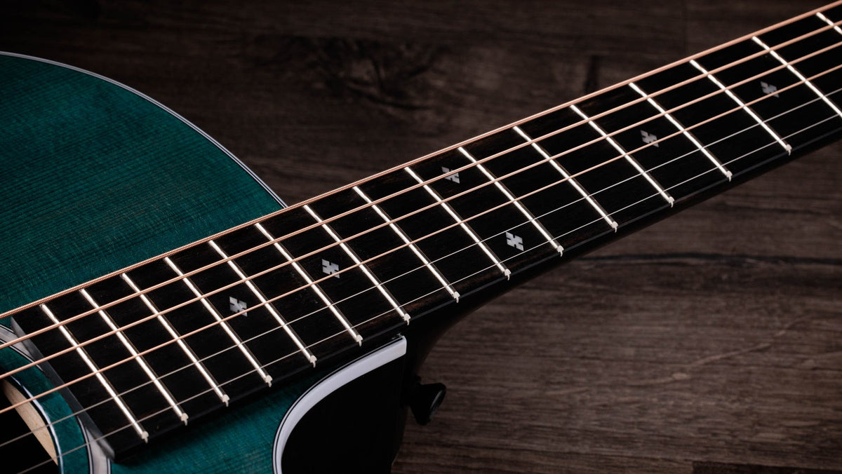 Đàn guitar acoustic điện Taylor 214ce Plus Special Edition màu Trans Blue – cận cần đàn và mặt phím