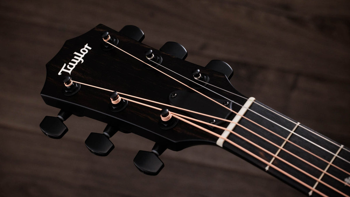 Đàn guitar acoustic điện Taylor 214ce Plus Special Edition màu Trans Blue – cận đầu đàn và logo Taylor