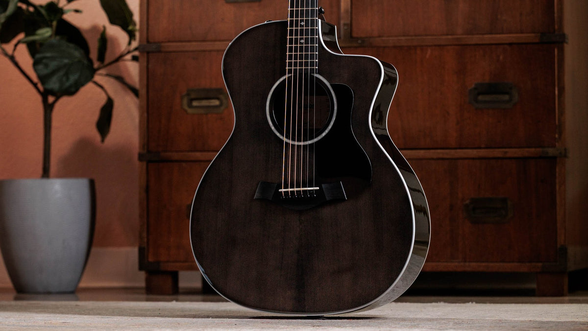 Đàn guitar acoustic điện Taylor 214ce Plus Special Edition màu Trans Grey – ảnh chụp thực tế