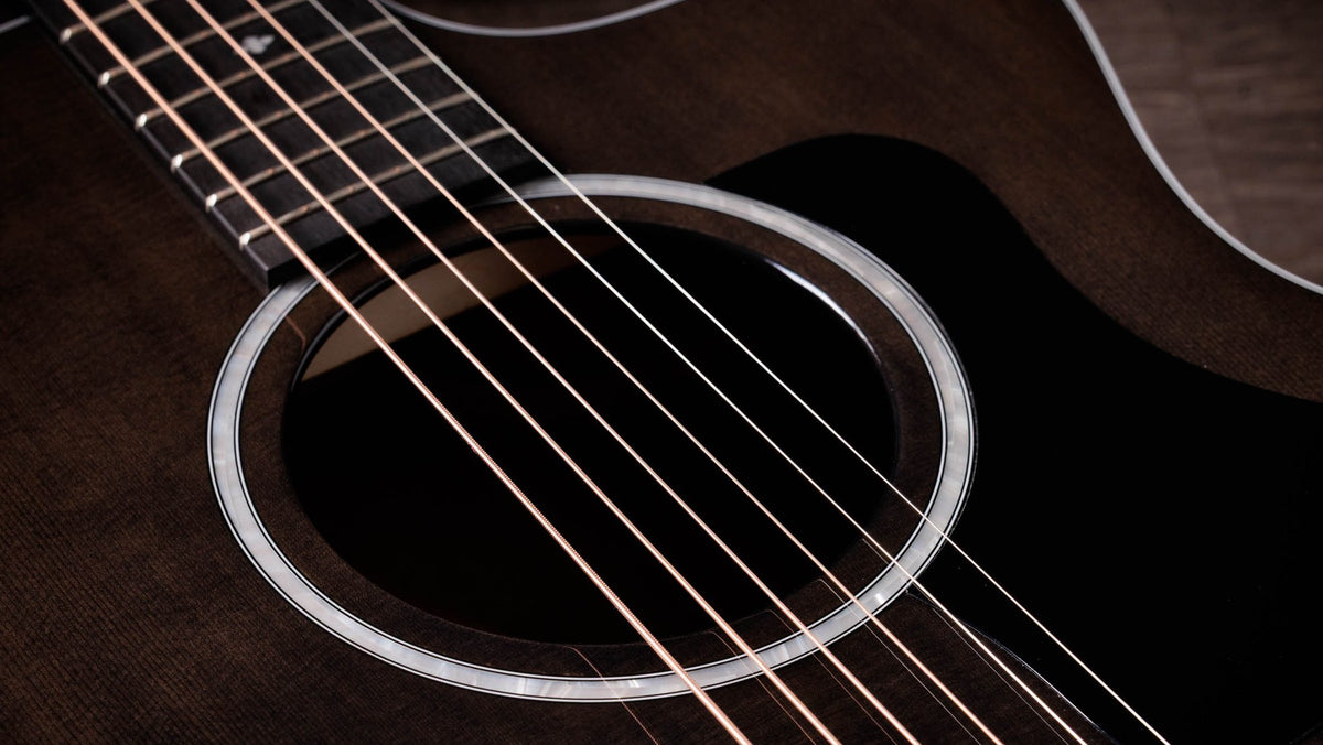 Đàn guitar acoustic điện Taylor 214ce Plus Special Edition màu Trans Grey – cận hoa văn viền lỗ thoát âm (rosette)