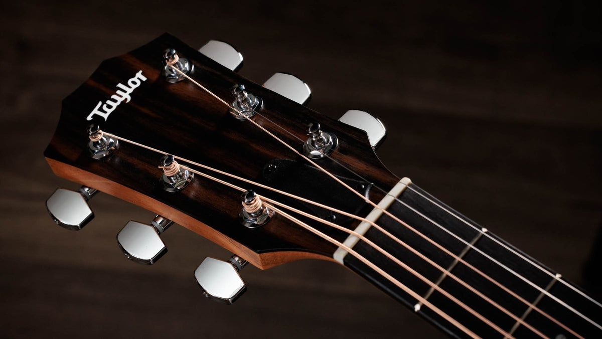 Đàn guitar acoustic điện Taylor 214ce Special Edition Honeyburst màu Honey Sunburst – cận đầu đàn và logo Taylor