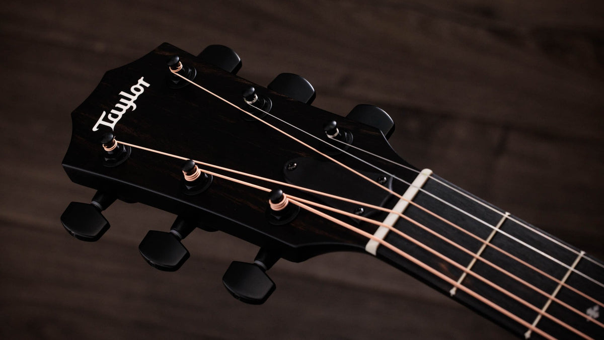Đàn guitar acoustic điện Taylor 224ce Plus Special Edition Trans Red màu Trans Red – cận đầu đàn và logo Taylor