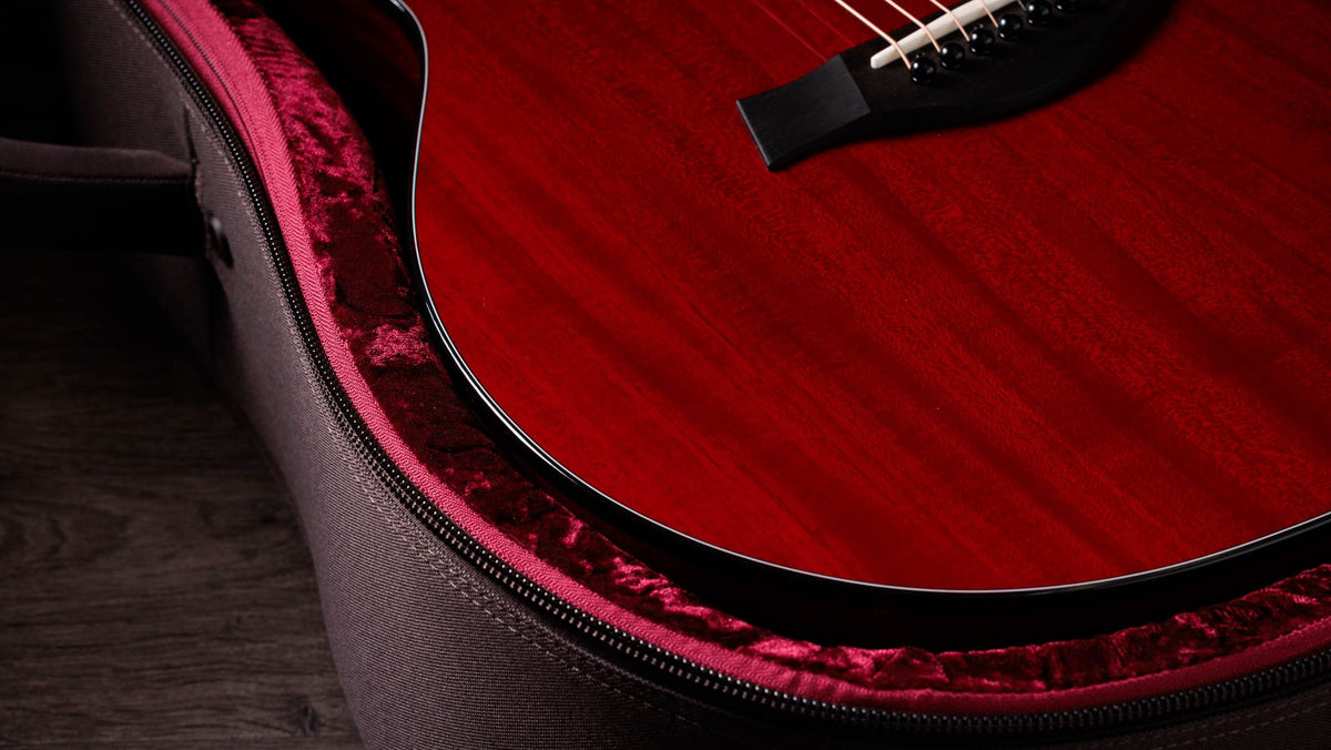 Đàn guitar acoustic điện Taylor 224ce Plus Special Edition Trans Red màu Trans Red – hộp đàn đi kèm (góc 2)