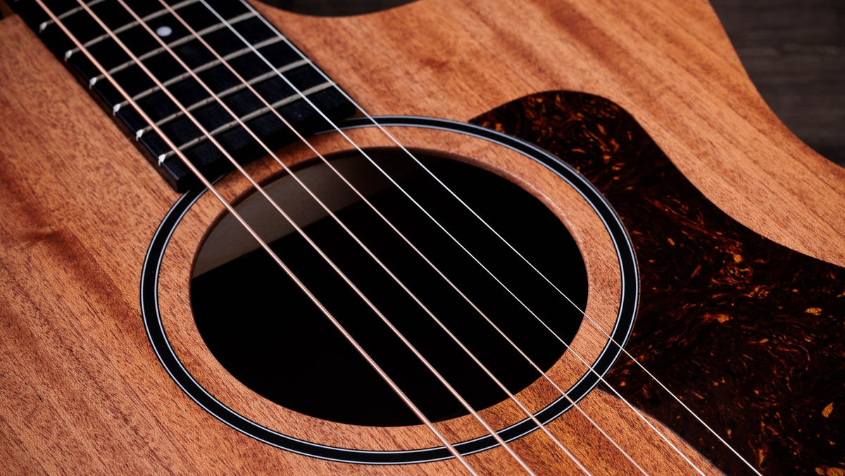 Đàn guitar acoustic điện Taylor 24ce màu Natural – cận hoa văn viền lỗ thoát âm (rosette)