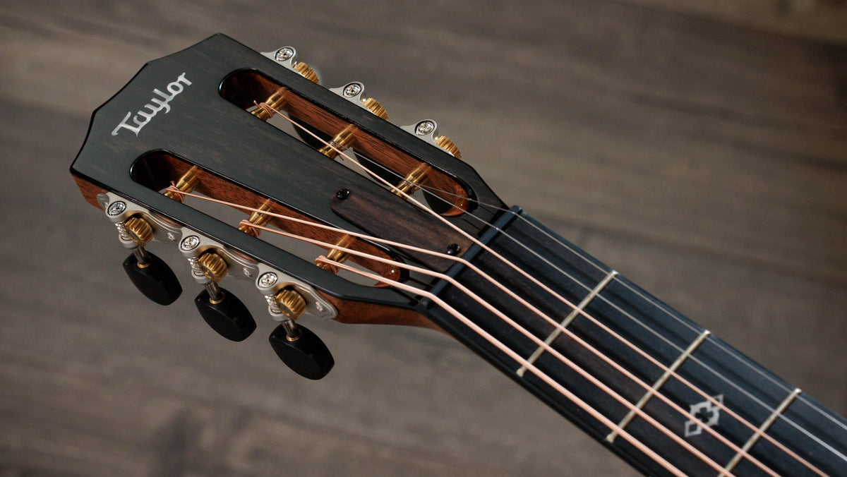 Đàn guitar acoustic điện Taylor 512ce 12-Fret màu Natural – cận đầu đàn và logo Taylor