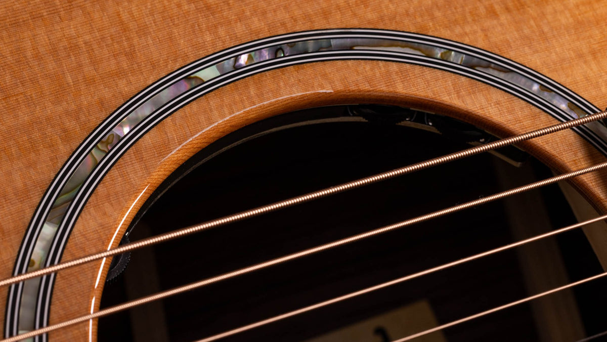 Đàn guitar acoustic điện Taylor 712ce 12-Fret – cận hoa văn viền lỗ thoát âm (rosette)