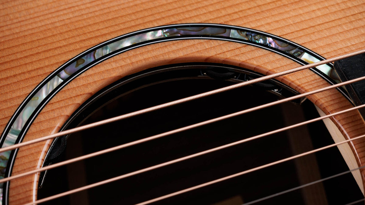 Đàn guitar acoustic điện Taylor 712ce – cận hoa văn viền lỗ thoát âm (rosette)