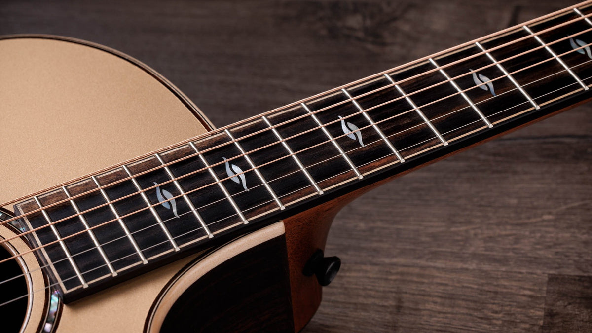 Đàn guitar acoustic điện Taylor 814ce LTD Casablanca Beige – cận cần đàn và mặt phím (góc 2)