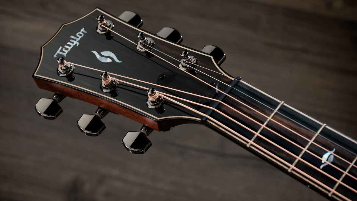 Đàn guitar acoustic điện Taylor 814ce LTD Casablanca Beige – cận đầu đàn và logo Taylor