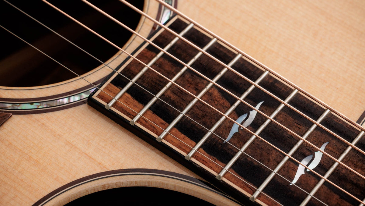 Đàn guitar acoustic điện Taylor 814ce LTD Cocobolo – cận cần đàn và mặt phím