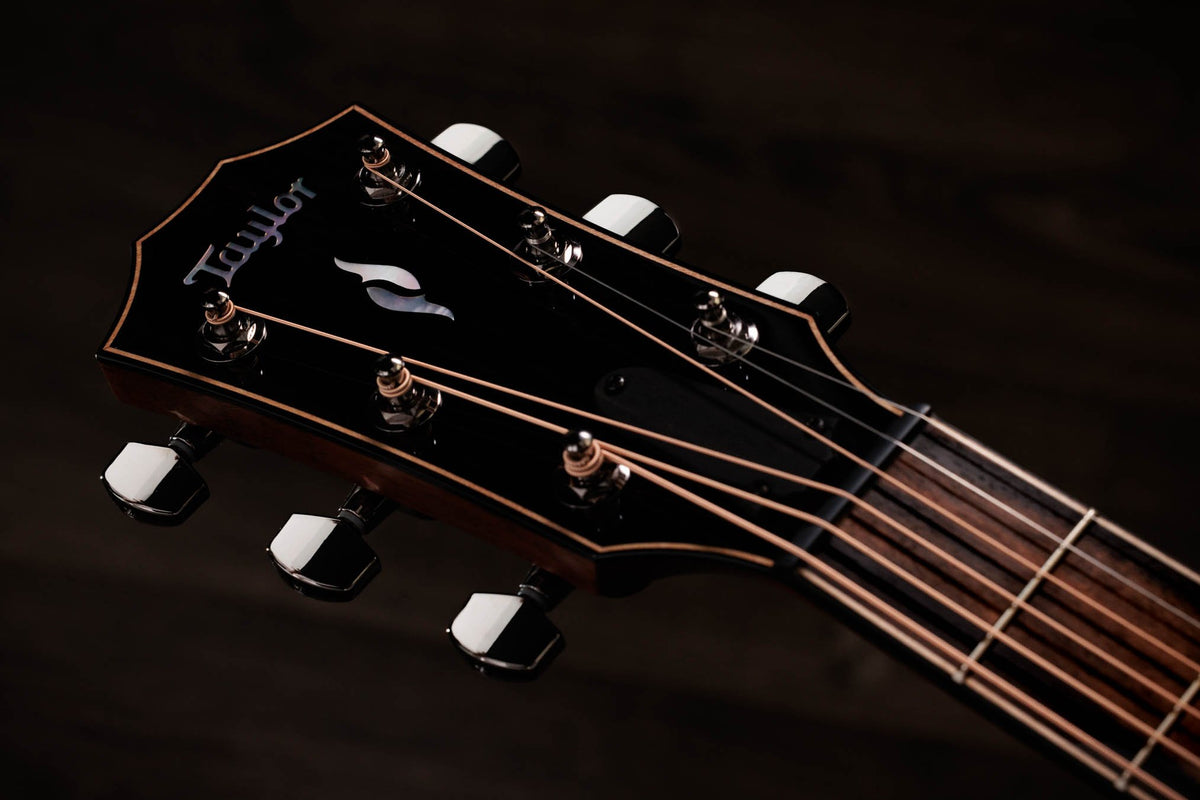 Đàn guitar acoustic điện Taylor 814ce LTD Cocobolo – cận đầu đàn và logo Taylor