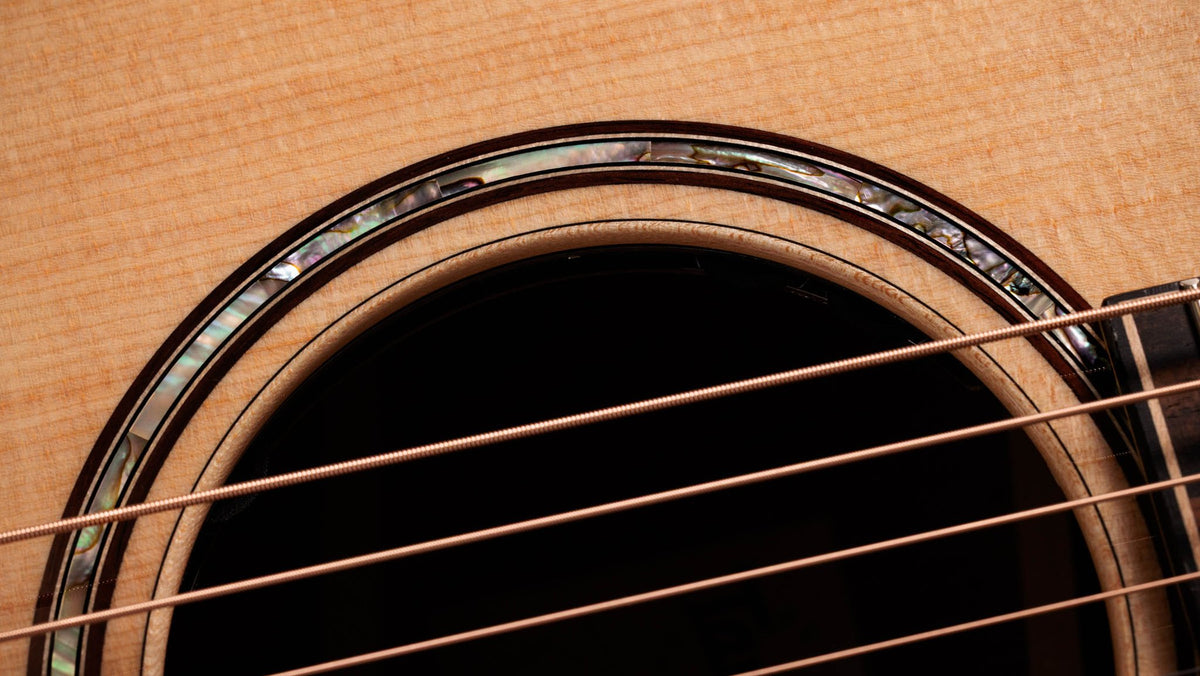 Đàn guitar acoustic điện Taylor 814ce LTD Cocobolo – cận hoa văn viền lỗ thoát âm (rosette)