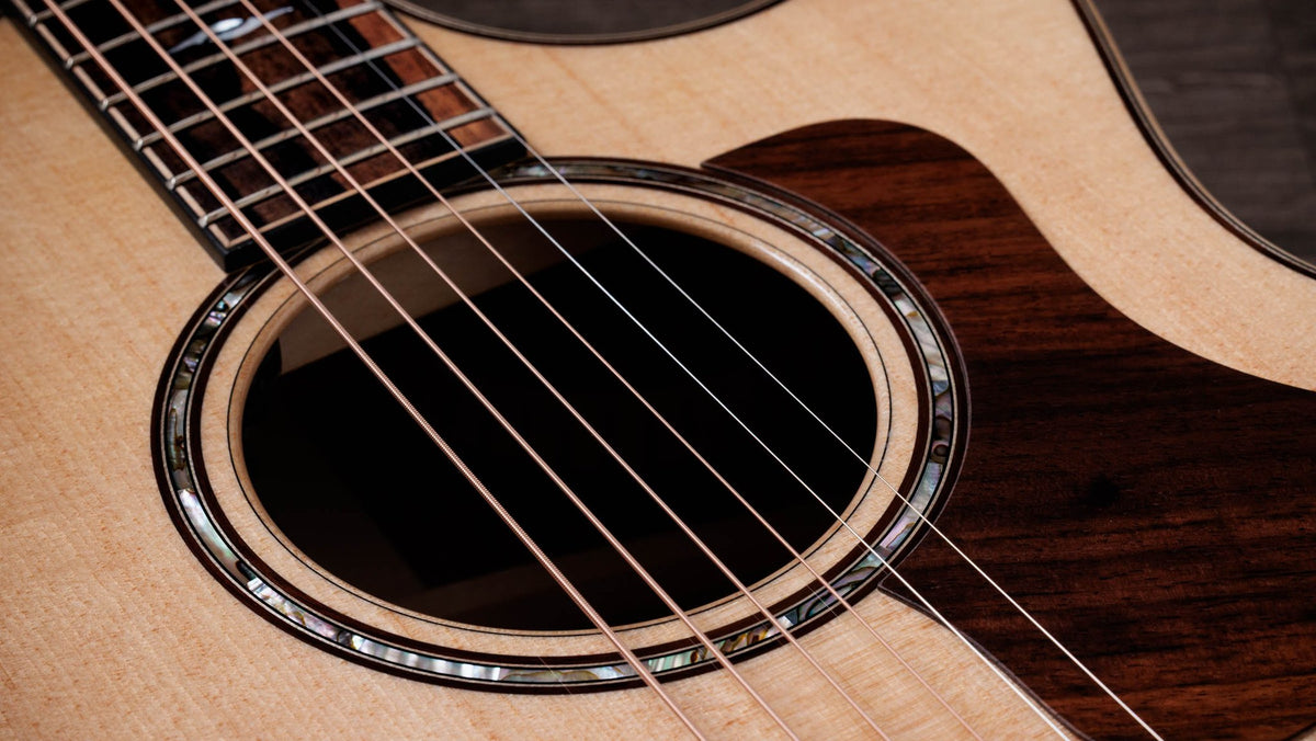 Đàn guitar acoustic điện Taylor 814ce LTD Cocobolo – cận lỗ thoát âm và ngựa đàn