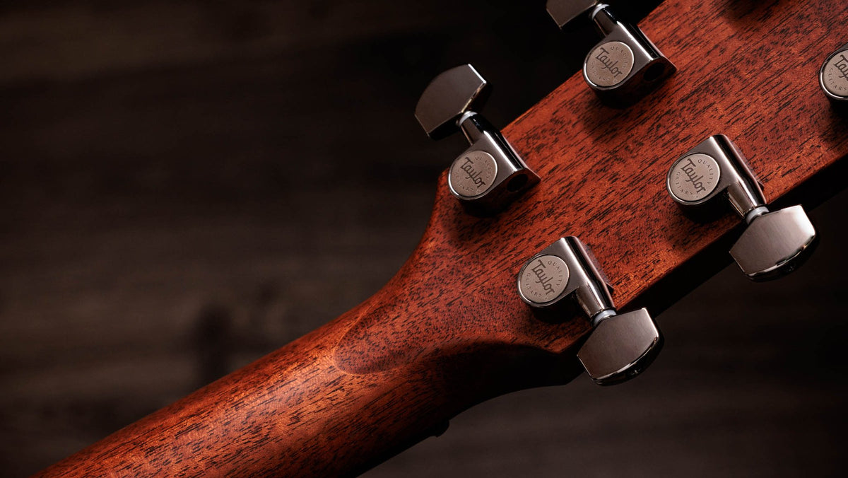 Đàn guitar acoustic điện Taylor 814ce LTD Cocobolo – mặt sau đầu đàn và bộ khóa lên dây