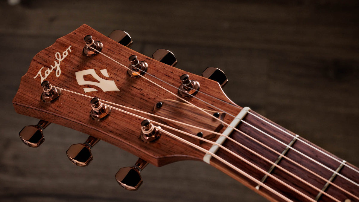 Đàn guitar acoustic điện Taylor Ben Harper Gold Label 512e màu Golden Brown Edgeburst – cận đầu đàn và logo Taylor